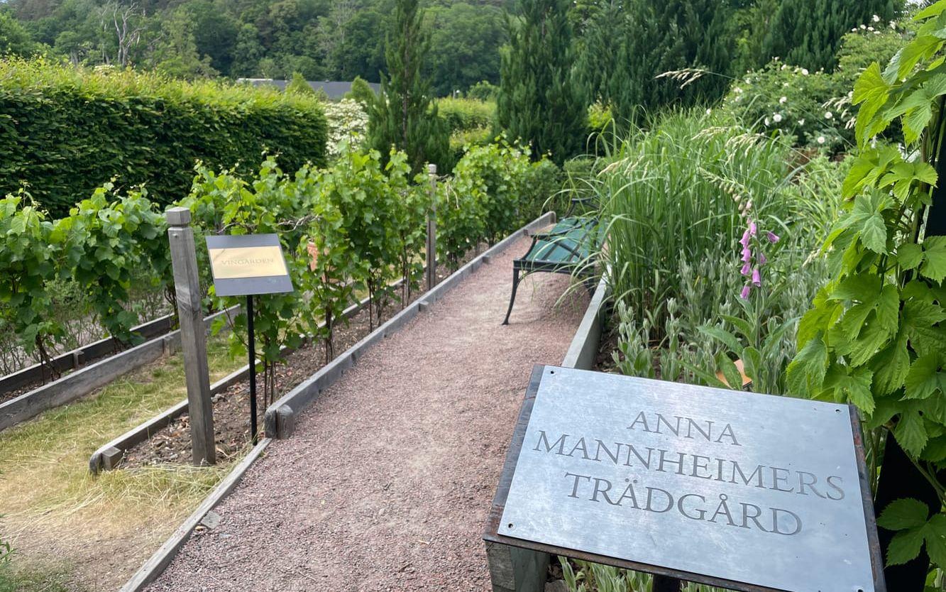 Även Anna Mannheimer har en egenträdgård som hon skapat utifrån sina favoriter. Senare i augusti kommer alla kändisar med egen trädgård i Jonsered att samlas för ett Garden Party under en kväll och diskutera olika blommor och växter.