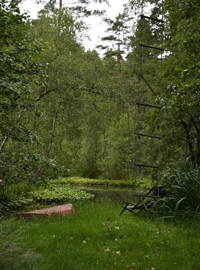 Trädgården har Peter döpt till ”Den sjunkna vägens trädgård” efter det att en lastbil sjönk igenom marken på 50-talet. 