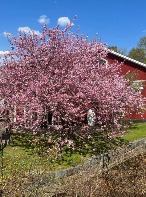 Nääs fabriker levererar blomhav. 