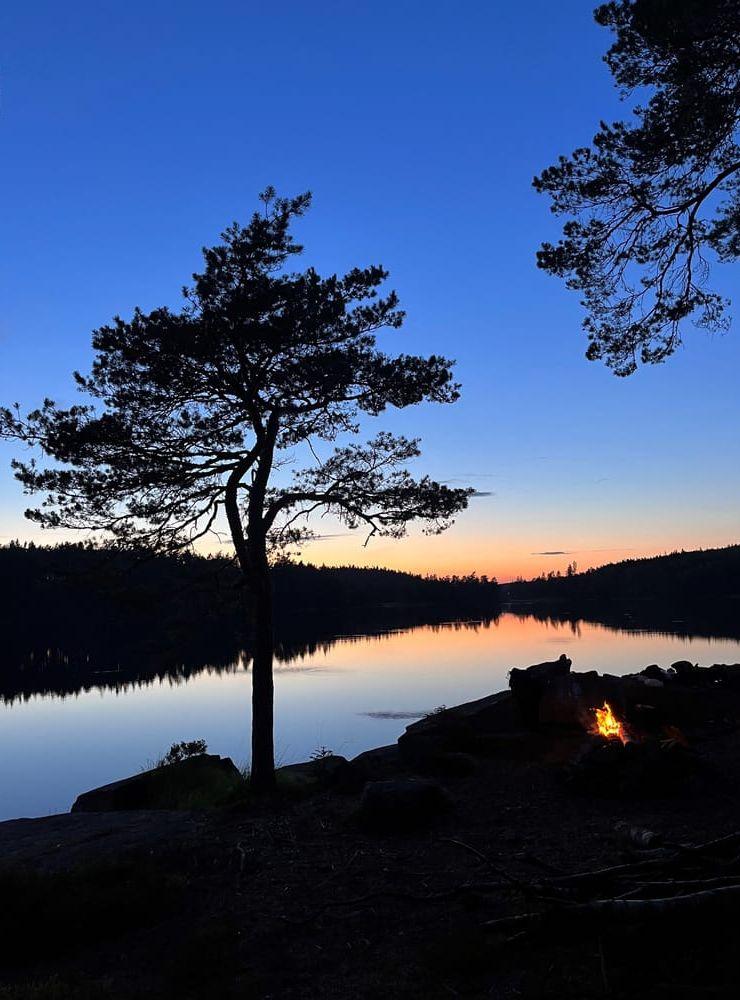 Natt vid stora sturven del 2,  8 juli