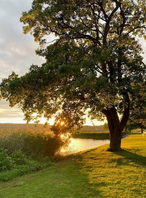 Kvällssol vid Aspens strand 