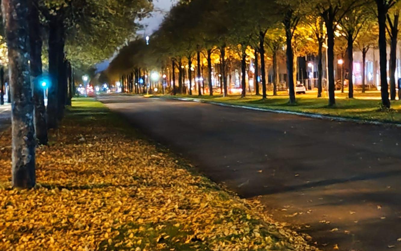 Lindholmen i Göteborg en tisdag morgon i oktober.