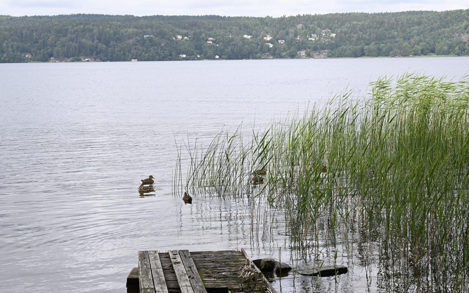 Bryggan är sliten. 